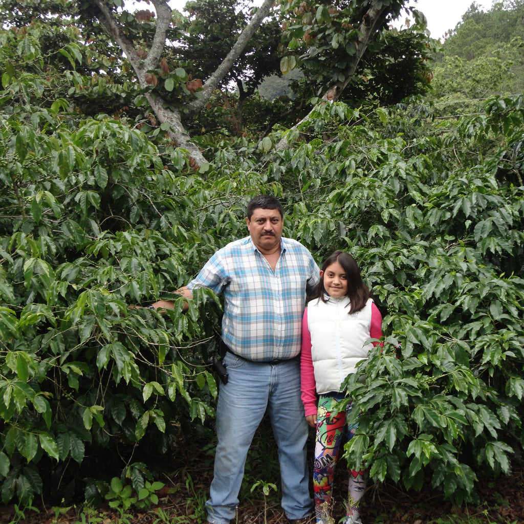 La Colina Farm - Chimaltenango